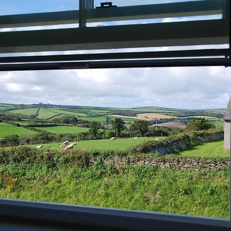 Bangors Organic Bed & Breakfast Bude Exterior foto