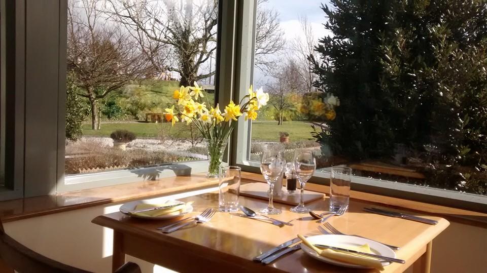 Bangors Organic Bed & Breakfast Bude Exterior foto
