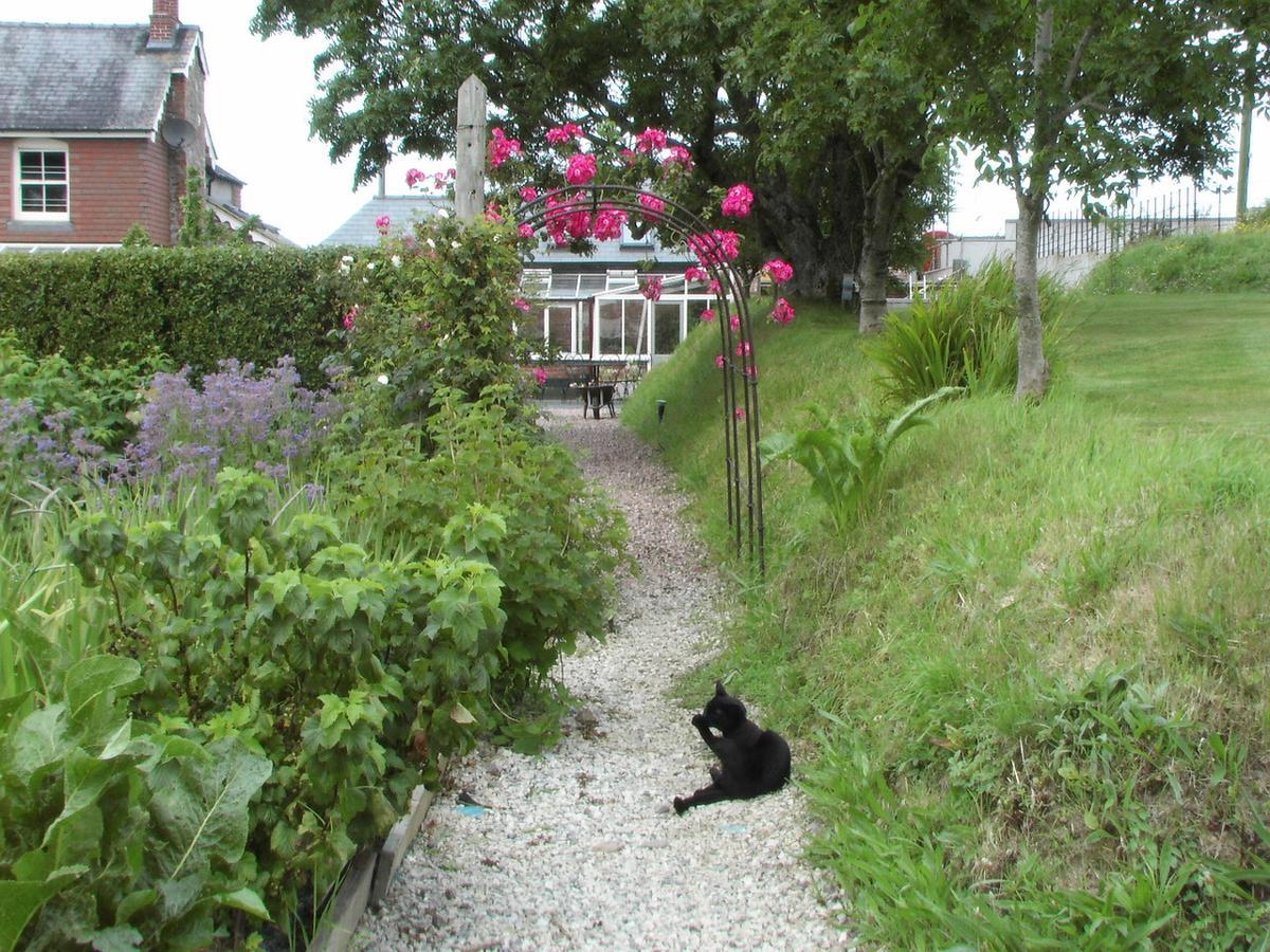 Bangors Organic Bed & Breakfast Bude Exterior foto