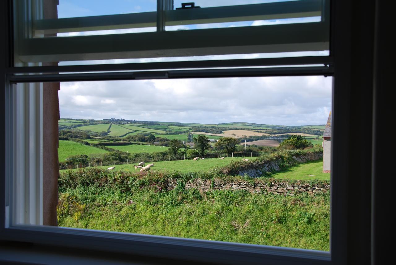 Bangors Organic Bed & Breakfast Bude Exterior foto